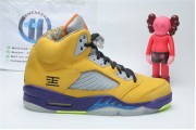 Air Jordan 5 “What The”