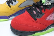 Air Jordan 5 “What The”