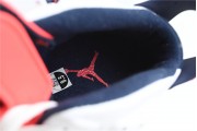 Jordan 6 retro tinker