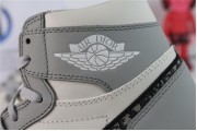 Air Jordan 1 Retro High Dior (No Dior Box)