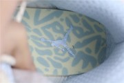 Air Jordan 13