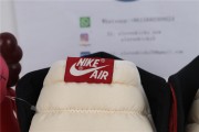 Air Jordan 1 Retro High OG Lost & Found