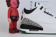 Air Jordan Three oregon