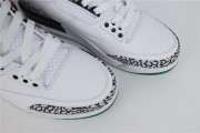 Air Jordan Three oregon