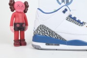 Air Jordan 3 "Wizards"