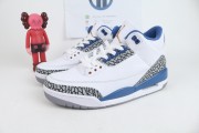 Air Jordan 3 "Wizards"