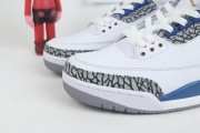 Air Jordan 3 "Wizards"