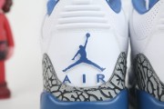 Air Jordan 3 "Wizards"
