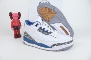 Air Jordan 3 "Wizards"
