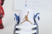 Air Jordan 3 "Wizards"