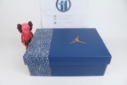 Air Jordan 3 "Wizards"