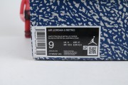 Air Jordan 3 "Wizards"