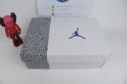 Air Jordan 3 “Wizards”