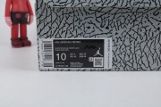 Air Jordan 3 “Wizards”