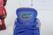 Jordan 4 Retro Florida Gators
