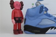 Air Jordan 5 UNC