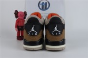 Air Jordan 3 Desert