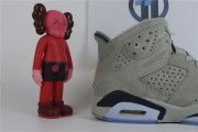 Air Jordan 6 Georgetown