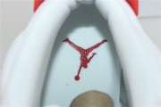 Air Jordan 6 Red Oreo