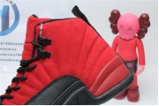 Air Jordan 12 Reverse Flu Game