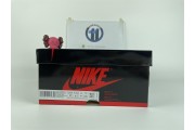 Air Jordan 1  blue