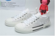 Dior White Low Canvas (White Colorway)