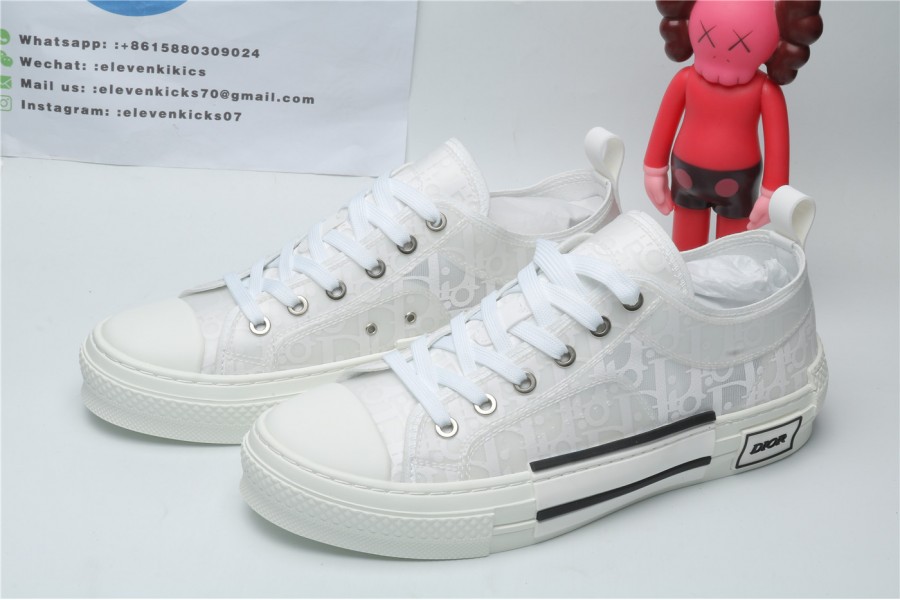 Dior White Low Canvas (White Colorway)