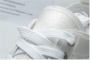 Dior White Low Canvas (White Colorway)