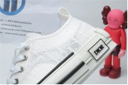Dior White Low Canvas (White Colorway)