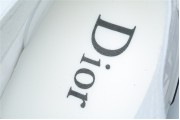 Dior White Low Canvas (White Colorway)