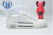 Dior White Low Canvas (White Colorway)