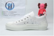 Dior White Low Canvas (White Colorway)