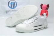 Dior White Low Canvas (White Colorway)