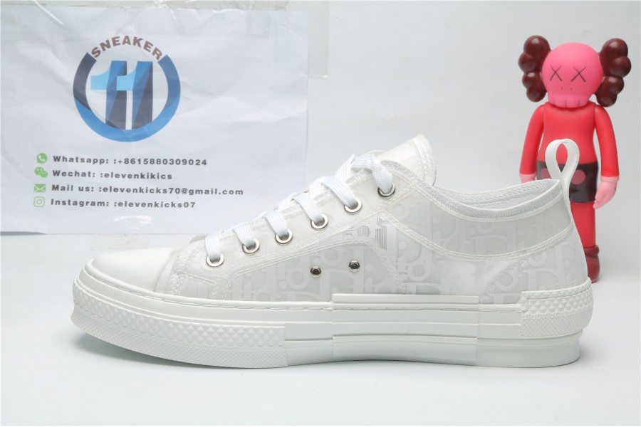 Dior x Kaws 906 White