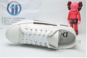 Dior x Kaws 906 White
