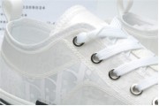 Dior x Kaws 906 White