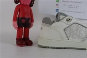 Dior B27 Low White Gray