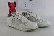 Dior B27 Low White Gray