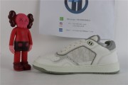 Dior B27 Low White Gray