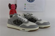 Dior B27 Low Gray