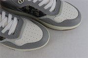 Dior B27 Low Gray