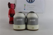 Dior B27 Low Gray