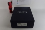 Dior B27 Low Gray