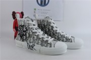 Dior And Shawn B23 High Top Bee Embroidery