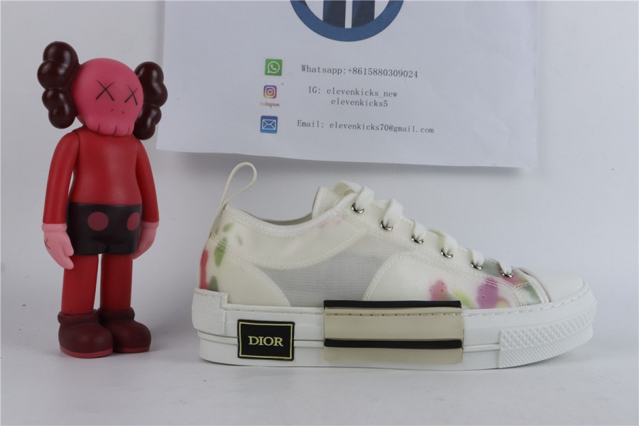 Dior B23 low Top Flowers Oblique