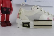 Dior B23 low Top Flowers Oblique