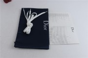 Dior B23 low Top Flowers Oblique