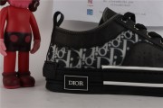 Dior B23 Low Canvas Oblique Black