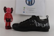 Dior B23 Low Canvas Oblique Black