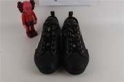 Dior B23 Low Canvas Oblique Black